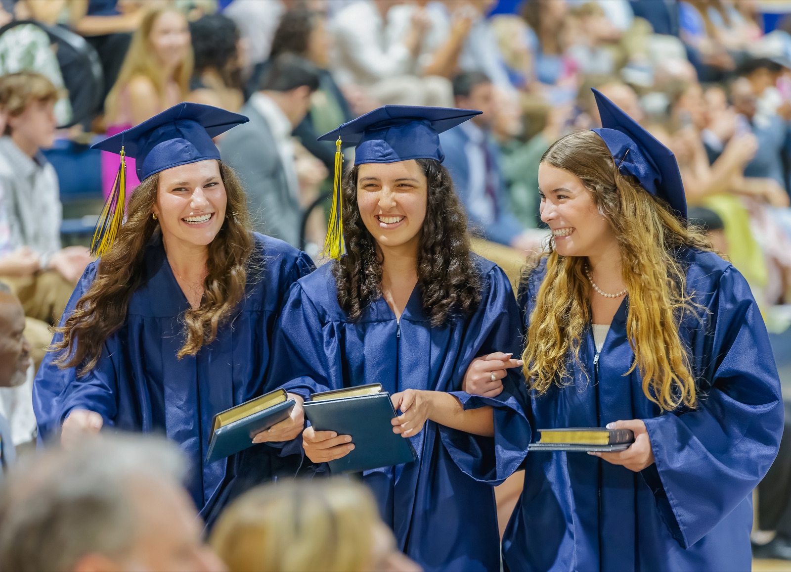Graduates in navy gowns with gold tassels